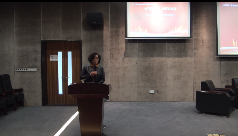 中小企業(yè)服務(wù)對接活動 2017年廣東省中小企業(yè)服務(wù)對接活動日順利落下帷幕